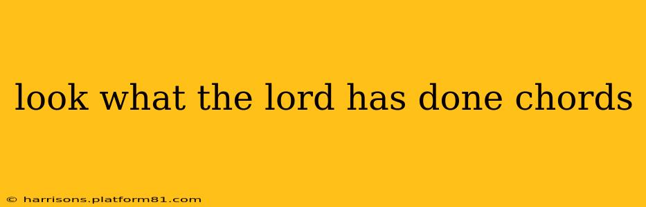 look what the lord has done chords