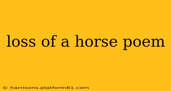 loss of a horse poem