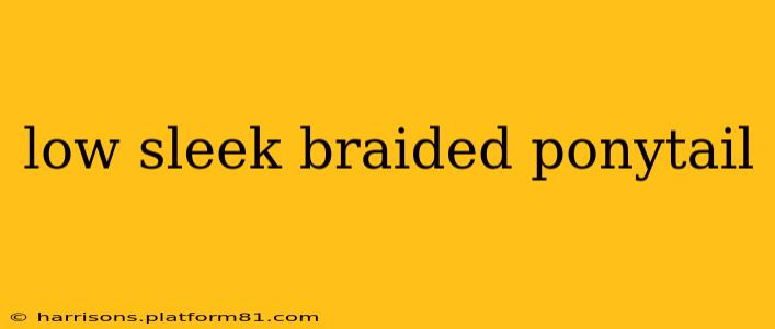 low sleek braided ponytail