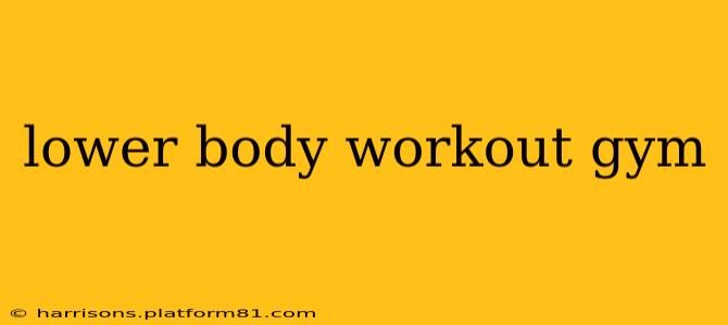 lower body workout gym