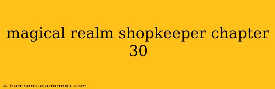 magical realm shopkeeper chapter 30