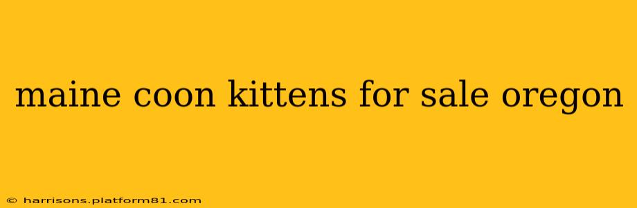 maine coon kittens for sale oregon
