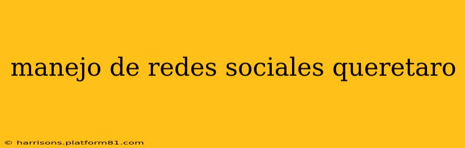 manejo de redes sociales queretaro