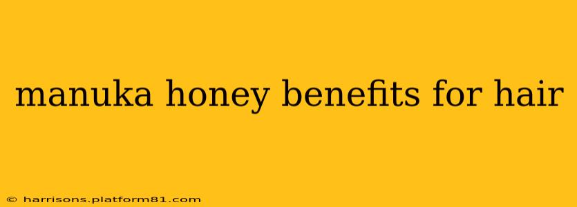 manuka honey benefits for hair