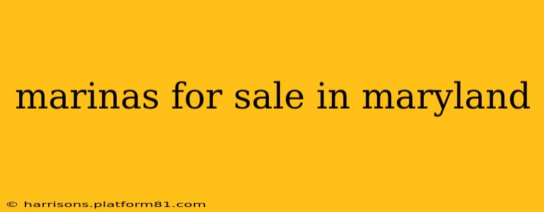 marinas for sale in maryland