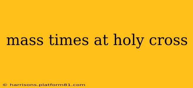 mass times at holy cross