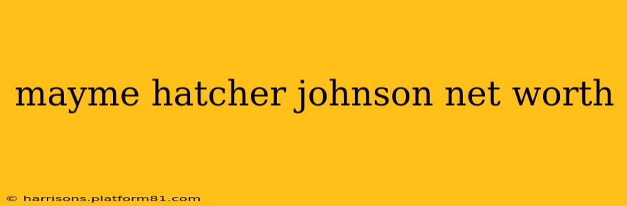 mayme hatcher johnson net worth