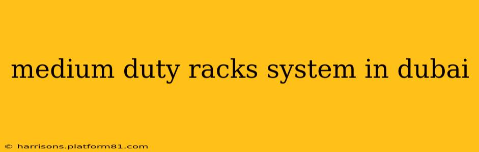 medium duty racks system in dubai