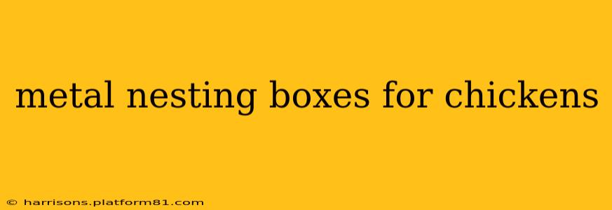 metal nesting boxes for chickens