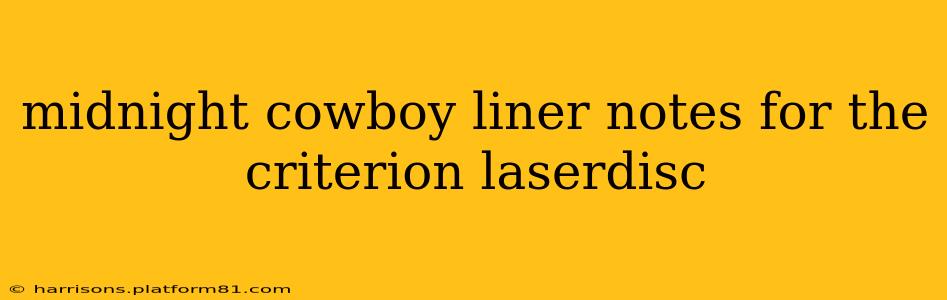 midnight cowboy liner notes for the criterion laserdisc