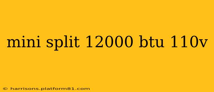 mini split 12000 btu 110v