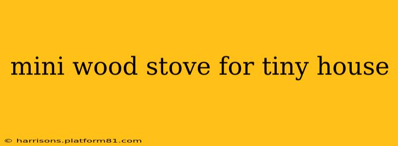 mini wood stove for tiny house