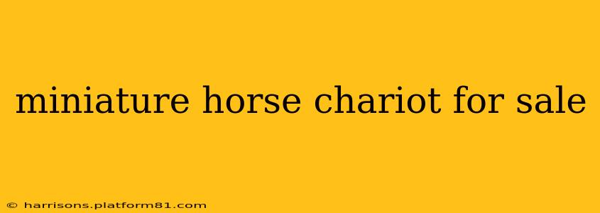 miniature horse chariot for sale
