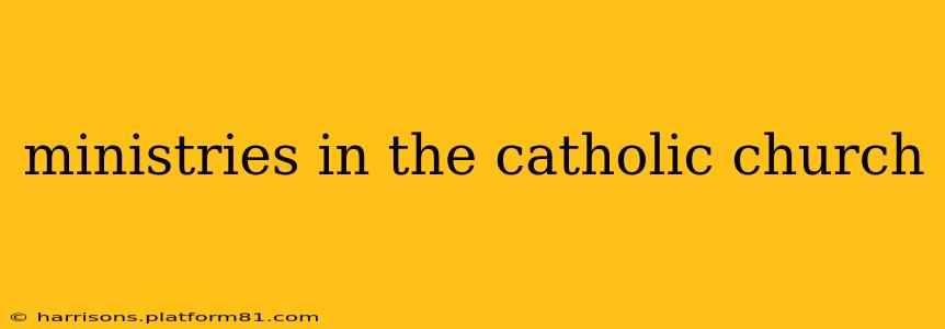 ministries in the catholic church