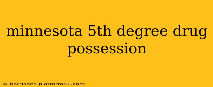 minnesota 5th degree drug possession