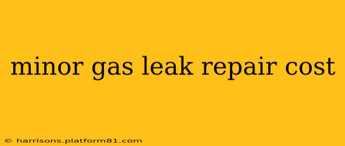 minor gas leak repair cost