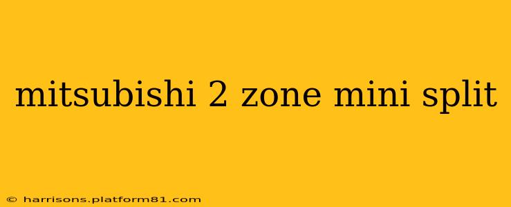 mitsubishi 2 zone mini split