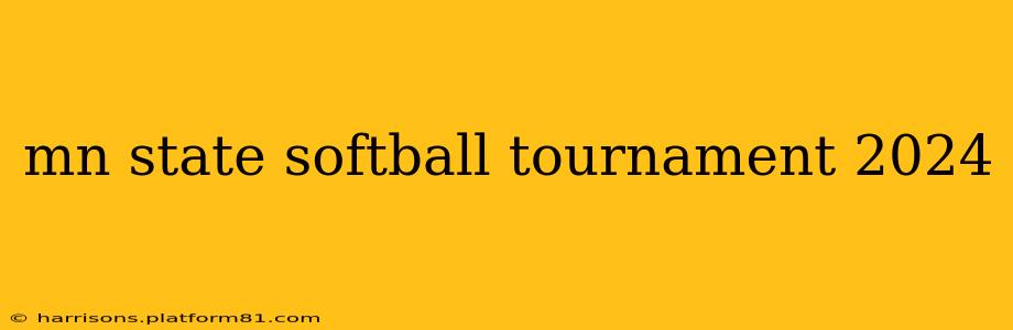 mn state softball tournament 2024