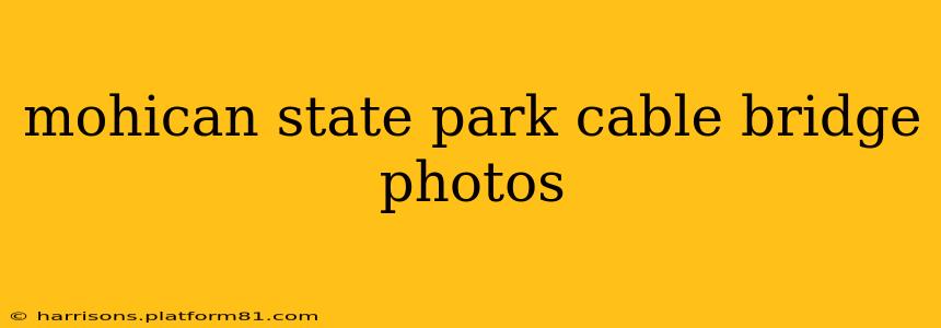 mohican state park cable bridge photos