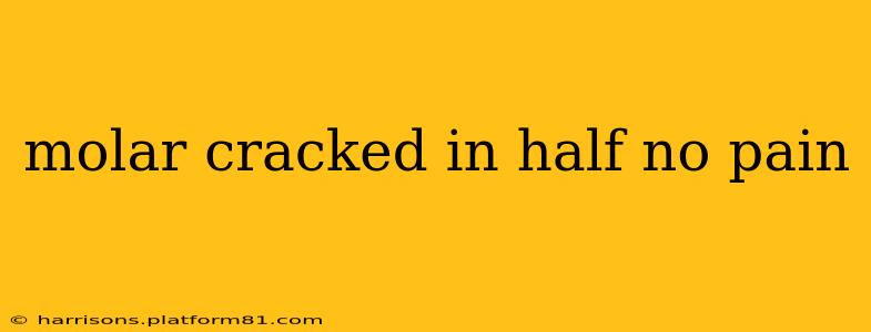 molar cracked in half no pain