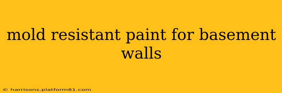 mold resistant paint for basement walls