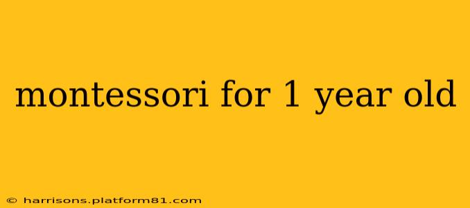 montessori for 1 year old