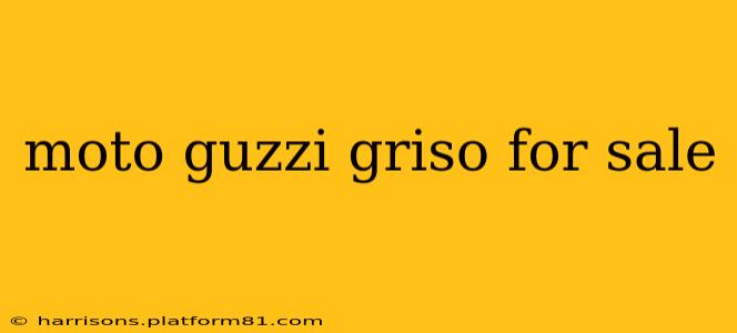 moto guzzi griso for sale