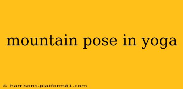 mountain pose in yoga