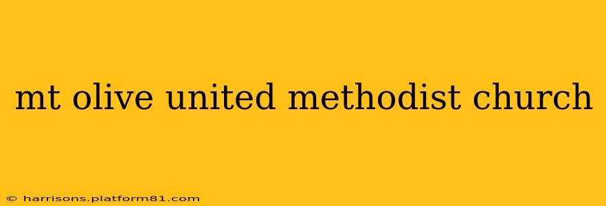 mt olive united methodist church