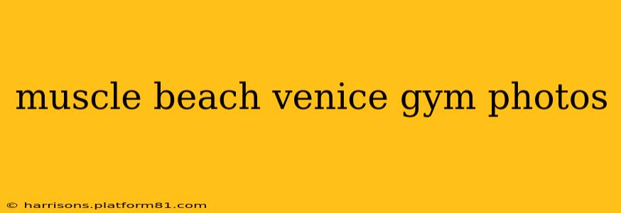 muscle beach venice gym photos