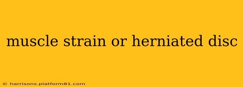 muscle strain or herniated disc