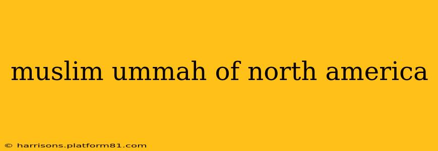 muslim ummah of north america