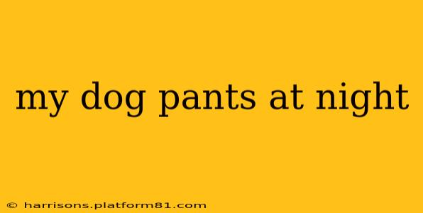 my dog pants at night