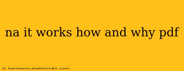 na it works how and why pdf
