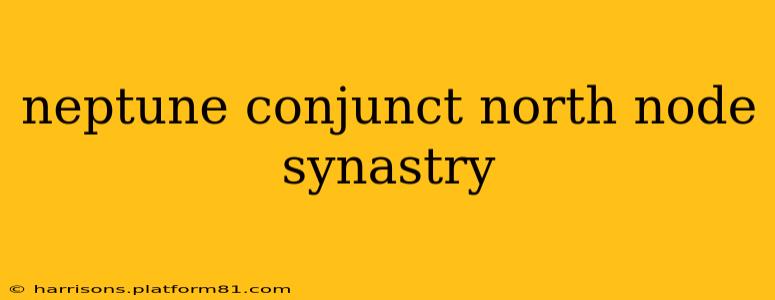neptune conjunct north node synastry