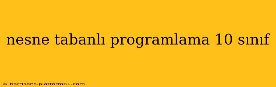nesne tabanlı programlama 10 sınıf
