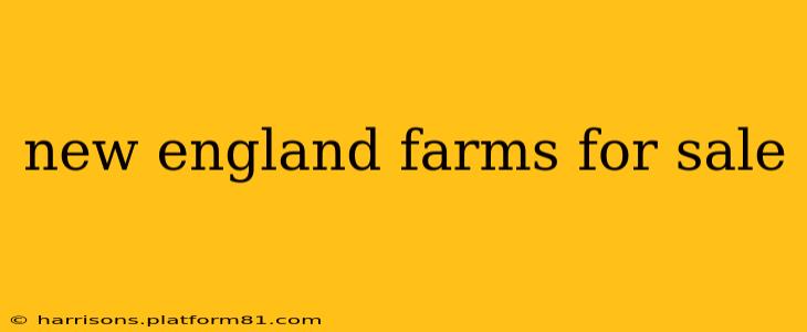 new england farms for sale