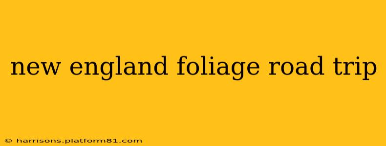 new england foliage road trip