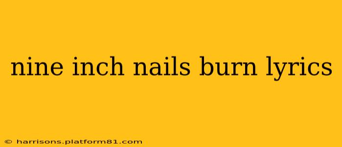 nine inch nails burn lyrics