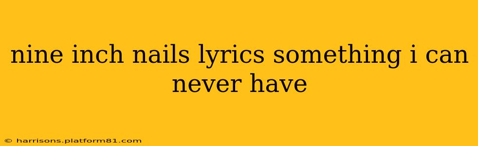 nine inch nails lyrics something i can never have