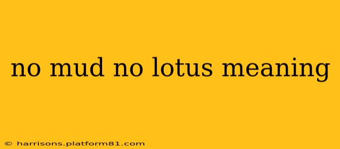 no mud no lotus meaning