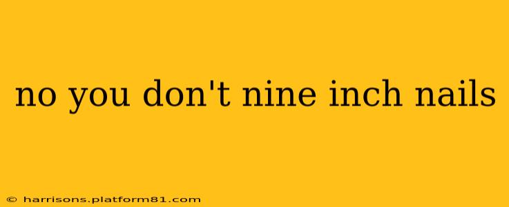 no you don't nine inch nails