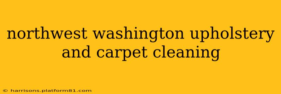 northwest washington upholstery and carpet cleaning