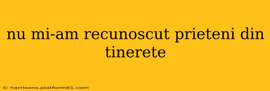 nu mi-am recunoscut prieteni din tinerete