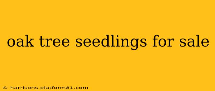 oak tree seedlings for sale
