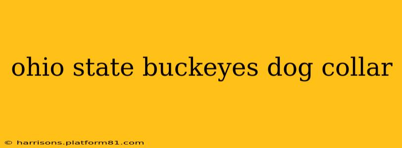 ohio state buckeyes dog collar