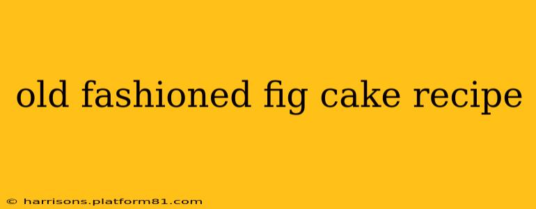 old fashioned fig cake recipe