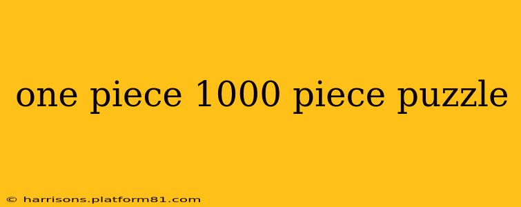 one piece 1000 piece puzzle