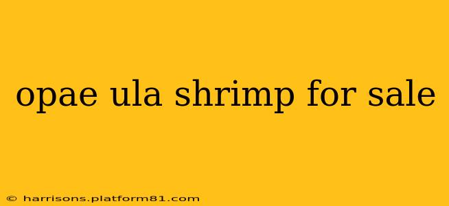 opae ula shrimp for sale