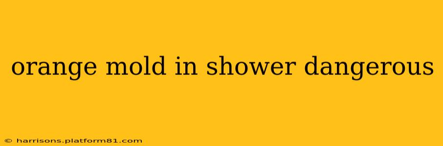 orange mold in shower dangerous